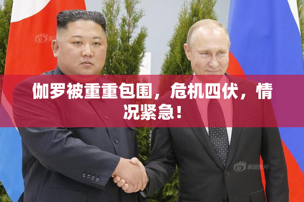 伽罗被重重包围，危机四伏，情况紧急！