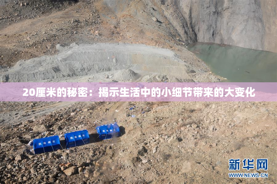 20厘米的秘密：揭示生活中的小细节带来的大变化