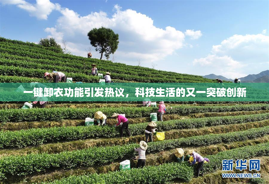 一键卸衣功能引发热议，科技生活的又一突破创新