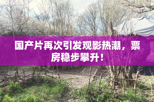国产片再次引发观影热潮，票房稳步攀升！