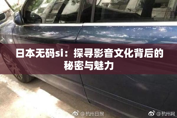 日本无码si：探寻影音文化背后的秘密与魅力