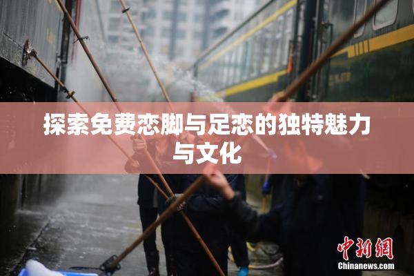 探索免费恋脚与足恋的独特魅力与文化