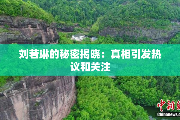刘若琳的秘密揭晓：真相引发热议和关注