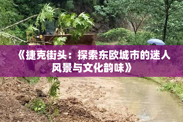 《捷克街头：探索东欧城市的迷人风景与文化韵味》