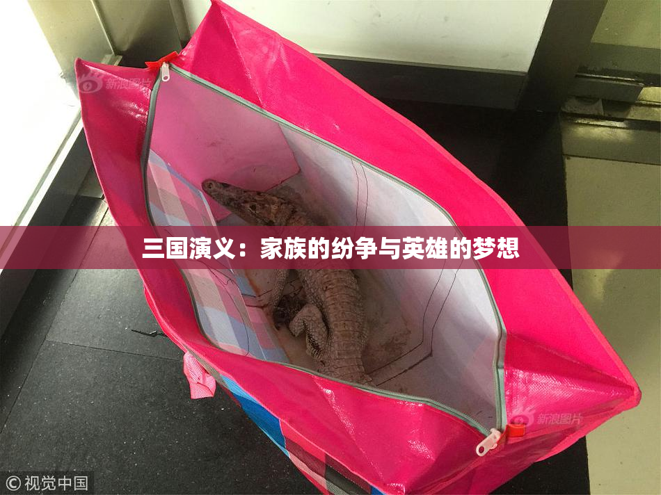 三国演义：家族的纷争与英雄的梦想