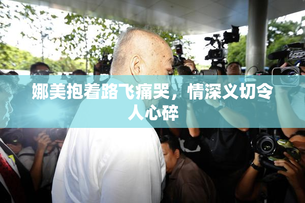 娜美抱着路飞痛哭，情深义切令人心碎