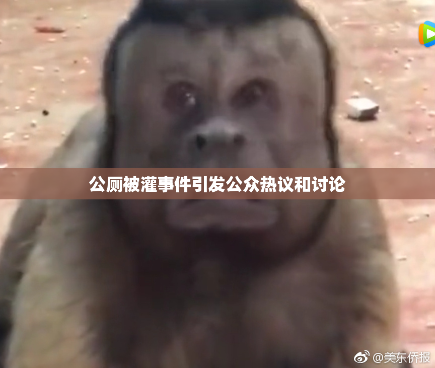 公厕被灌事件引发公众热议和讨论