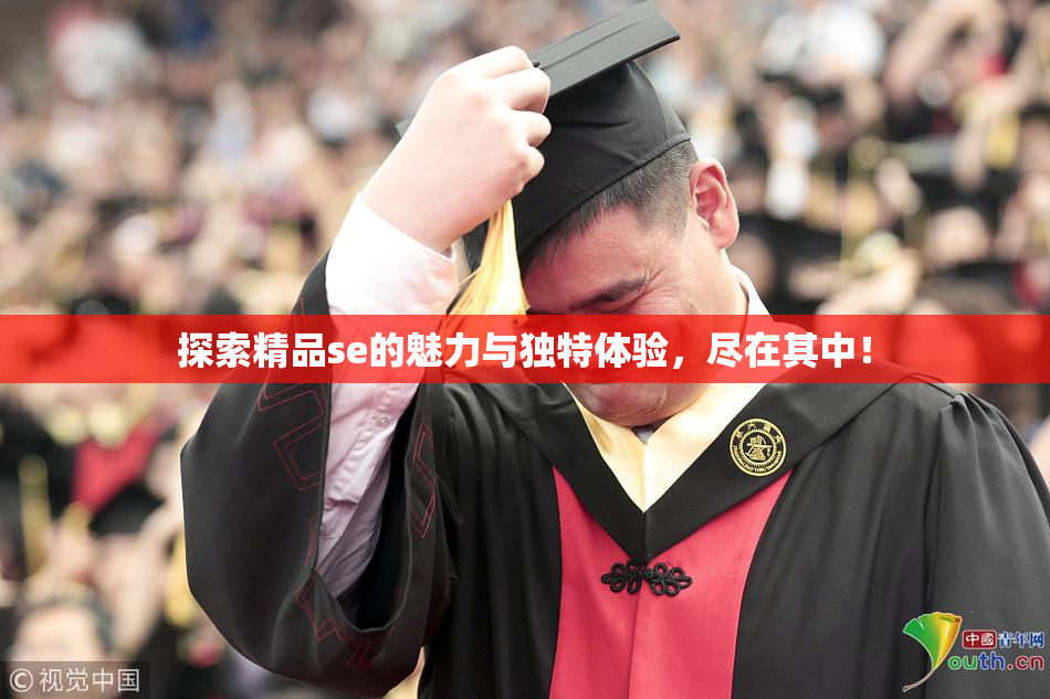 探索精品se的魅力与独特体验，尽在其中！