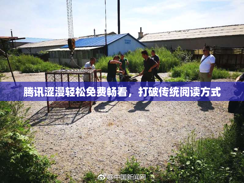 腾讯涩漫轻松免费畅看，打破传统阅读方式
