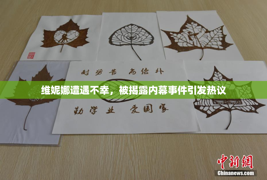 维妮娜遭遇不幸，被揭露内幕事件引发热议