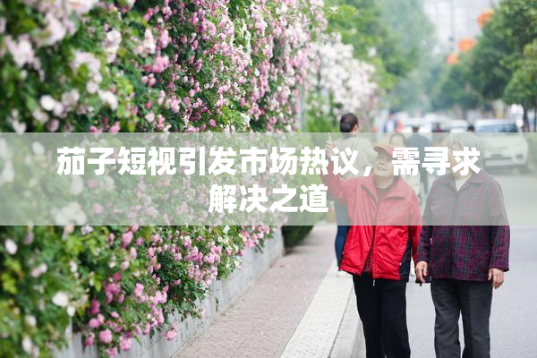 茄子短视引发市场热议，需寻求解决之道