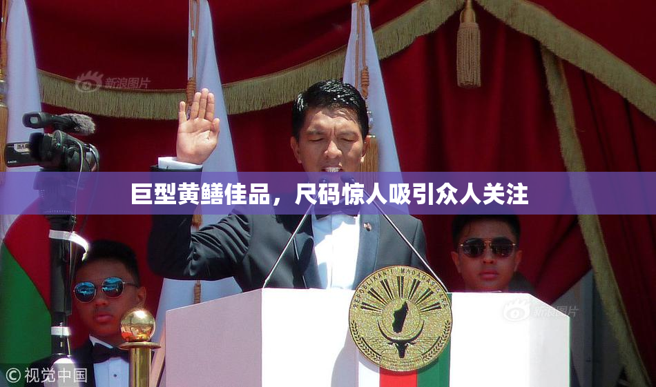 巨型黄鳝佳品，尺码惊人吸引众人关注
