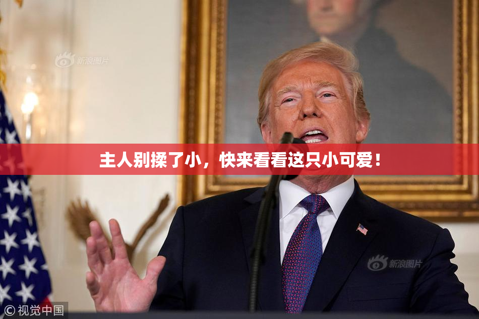主人别揉了小，快来看看这只小可爱！