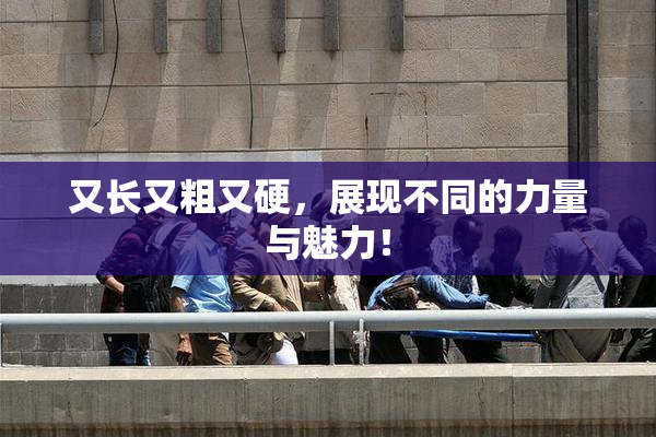 又长又粗又硬，展现不同的力量与魅力！