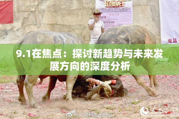 9.1在焦点：探讨新趋势与未来发展方向的深度分析
