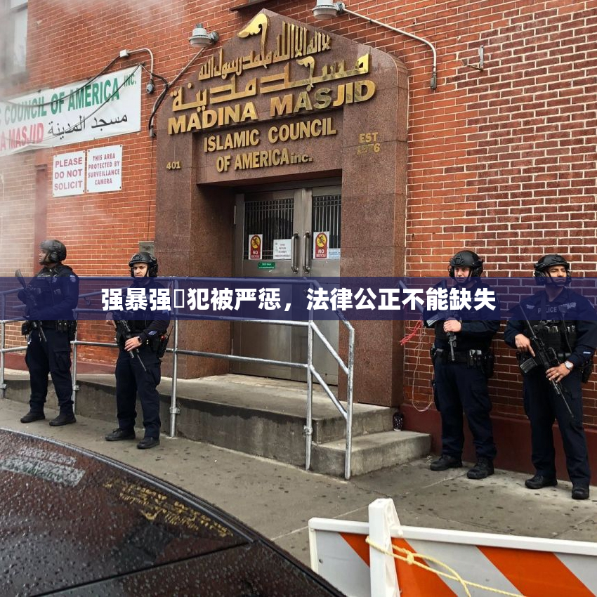 强暴强姦犯被严惩，法律公正不能缺失