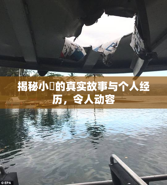 揭秘小泬的真实故事与个人经历，令人动容