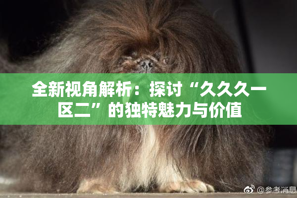 全新视角解析：探讨“久久久一区二”的独特魅力与价值