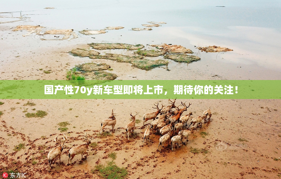 国产性70y新车型即将上市，期待你的关注！