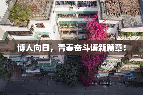 博人向日，青春奋斗谱新篇章！