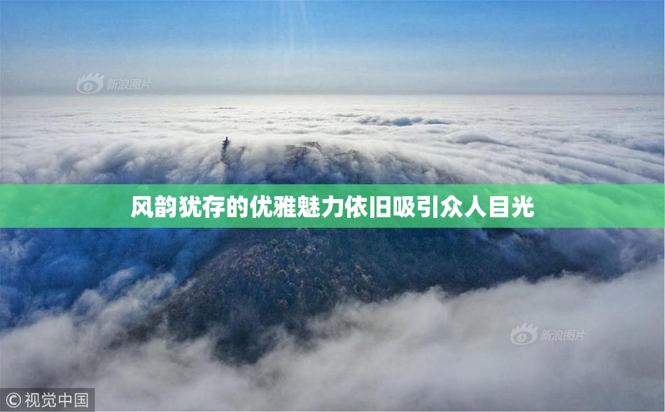 风韵犹存的优雅魅力依旧吸引众人目光