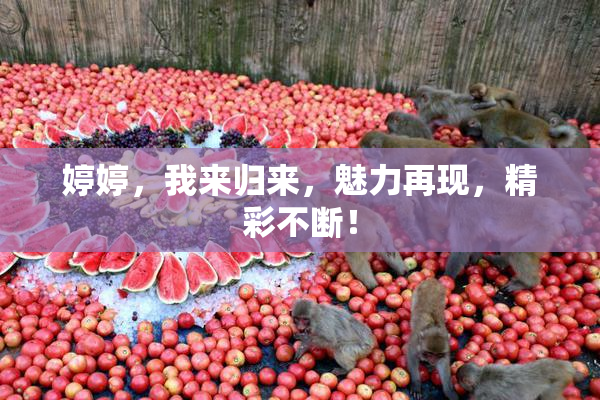 婷婷，我来归来，魅力再现，精彩不断！