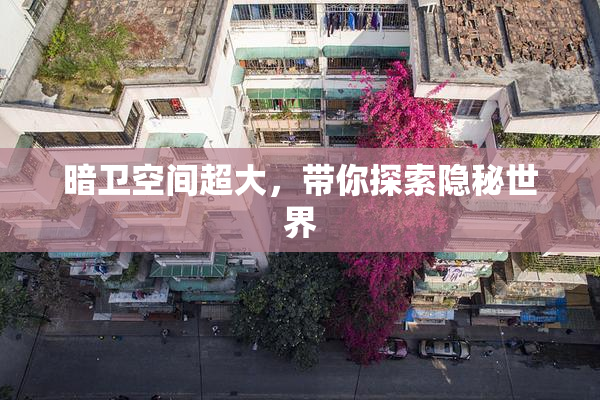 暗卫空间超大，带你探索隐秘世界