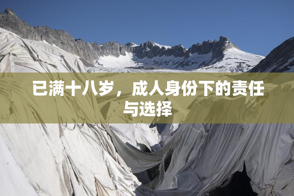 已满十八岁，成人身份下的责任与选择