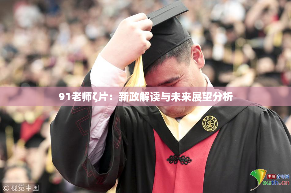91老师ζ片：新政解读与未来展望分析