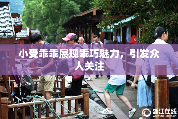 小受乖乖展现乖巧魅力，引发众人关注