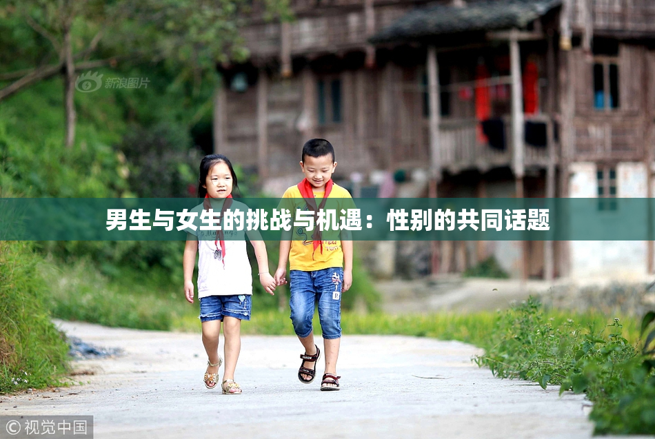 男生与女生的挑战与机遇：性别的共同话题