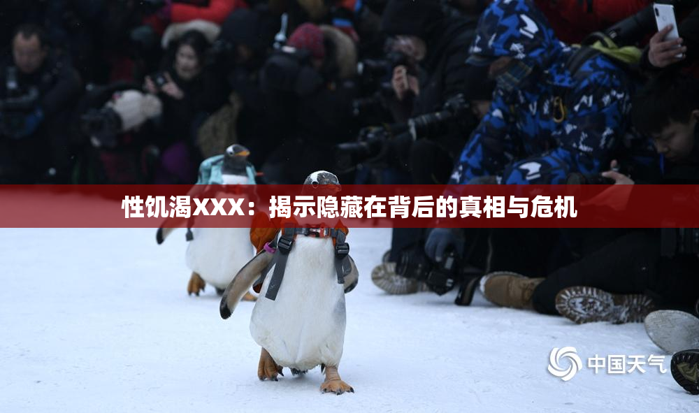 性饥渴XXX：揭示隐藏在背后的真相与危机