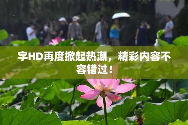 字HD再度掀起热潮，精彩内容不容错过！