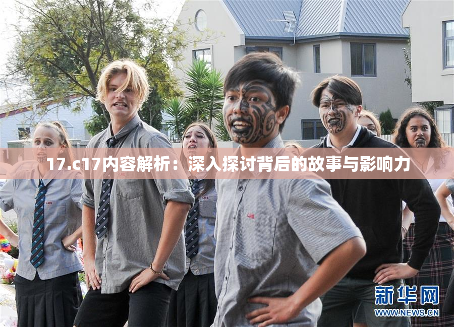 17.c17内容解析：深入探讨背后的故事与影响力
