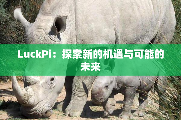 LuckPi：探索新的机遇与可能的未来