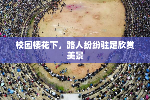 校园樱花下，路人纷纷驻足欣赏美景