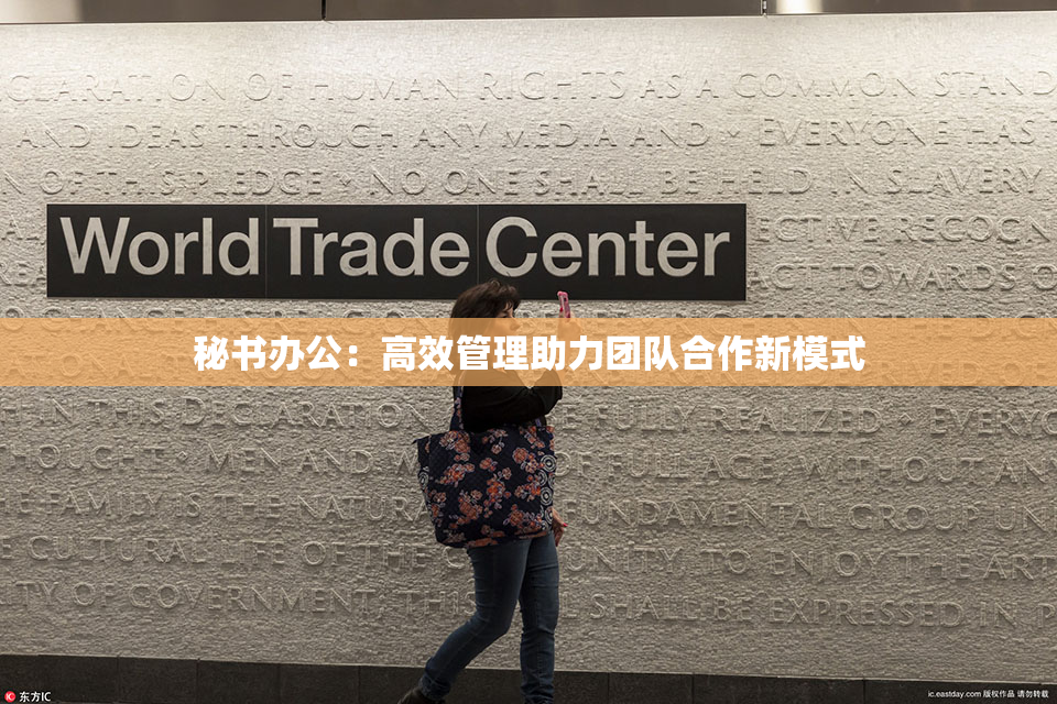 秘书办公：高效管理助力团队合作新模式