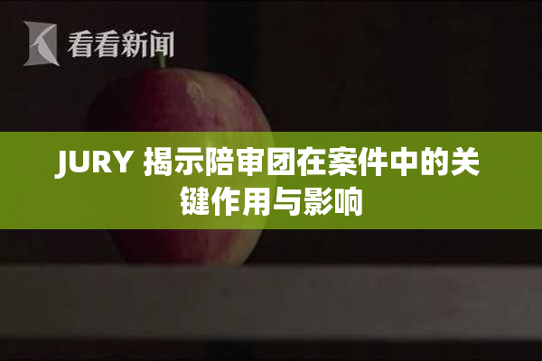 JURY 揭示陪审团在案件中的关键作用与影响
