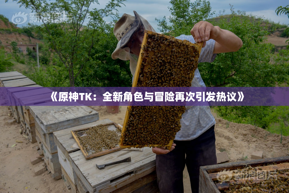 《原神TK：全新角色与冒险再次引发热议》