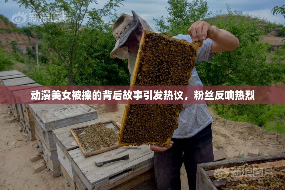 动漫美女被擦的背后故事引发热议，粉丝反响热烈