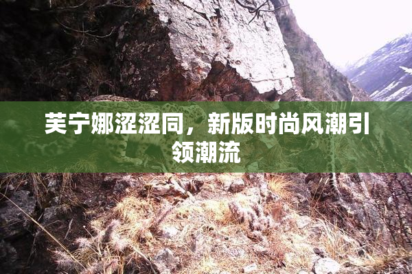 芙宁娜涩涩同，新版时尚风潮引领潮流