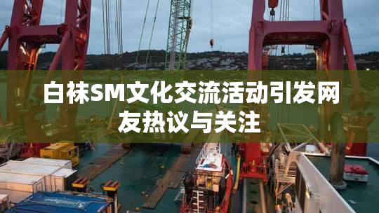 白袜SM文化交流活动引发网友热议与关注