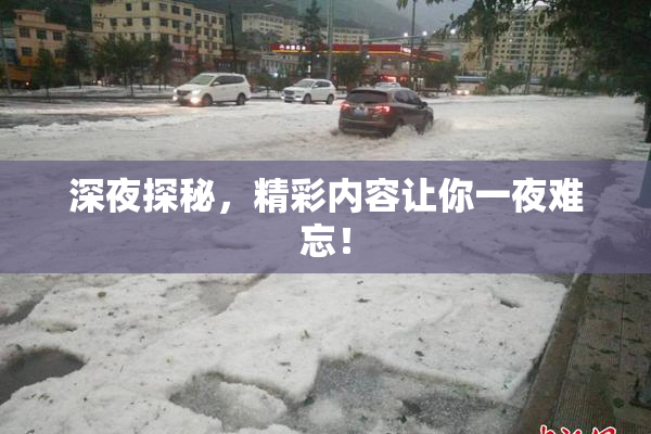 深夜探秘，精彩内容让你一夜难忘！