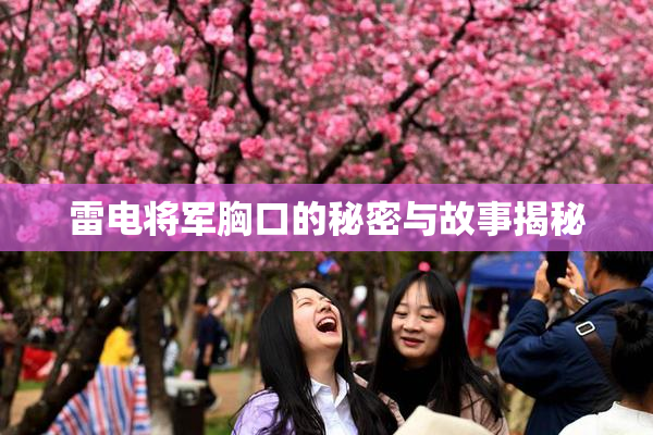 雷电将军胸口的秘密与故事揭秘