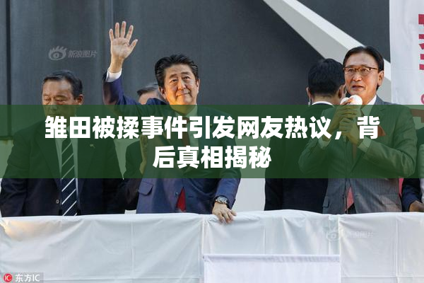 雏田被揉事件引发网友热议，背后真相揭秘