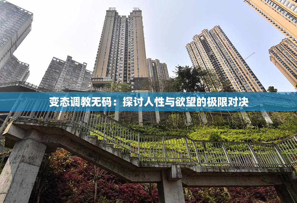 变态调教无码：探讨人性与欲望的极限对决