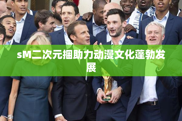 sM二次元捆助力动漫文化蓬勃发展