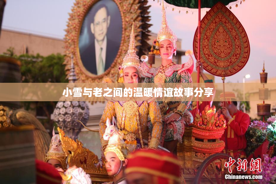 小雪与老之间的温暖情谊故事分享