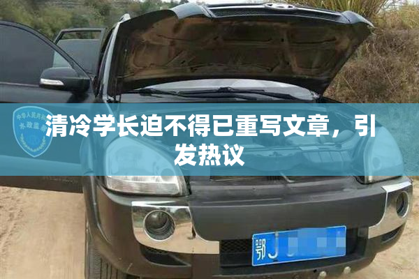 清冷学长迫不得已重写文章，引发热议