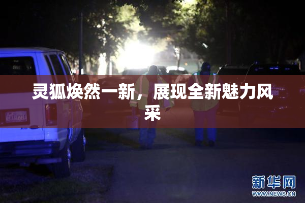 灵狐焕然一新，展现全新魅力风采